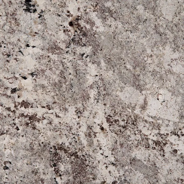 Alaska White granite countertop slab — MSI Surfaces — WoodArt Cabinets San Antonio