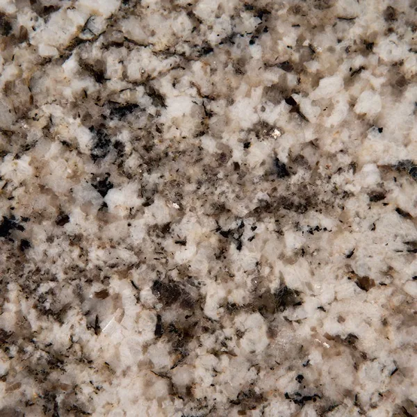 Arctic Sand granite countertop slab — MSI Surfaces — WoodArt Cabinets San Antonio