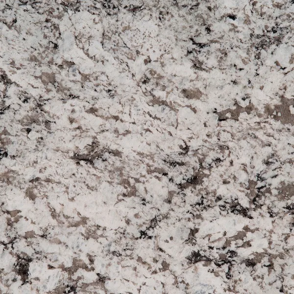 Avalon White granite countertop slab — MSI Surfaces — WoodArt Cabinets San Antonio