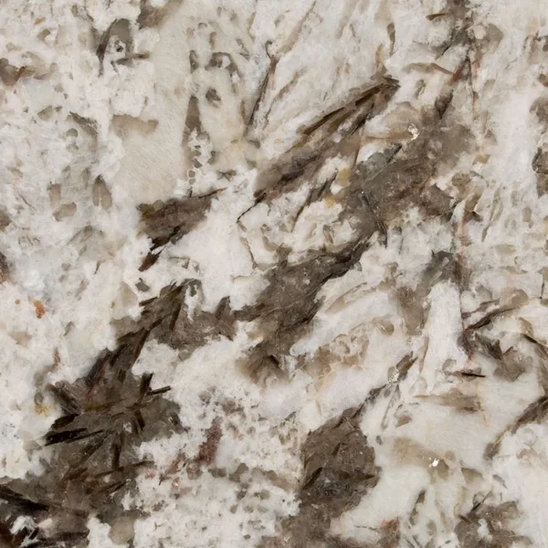 Bianco Antico granite countertop slab — MSI Surfaces — WoodArt Cabinets San Antonio