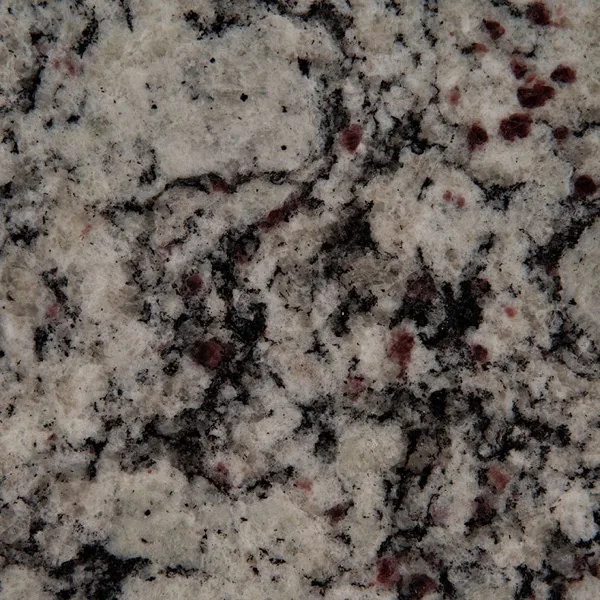 Bianco Frost granite countertop slab — MSI Surfaces — WoodArt Cabinets San Antonio