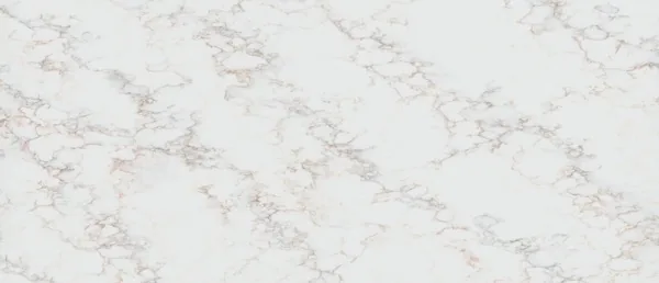 Calacatta Cinela quartz countertop slab — MSI Surfaces — WoodArt Cabinets San Antonio