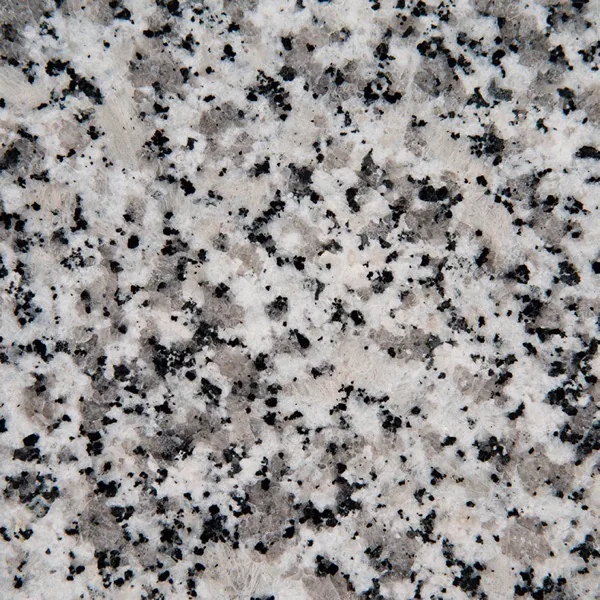Luna Pearl granite countertop slab — MSI Surfaces — WoodArt Cabinets San Antonio