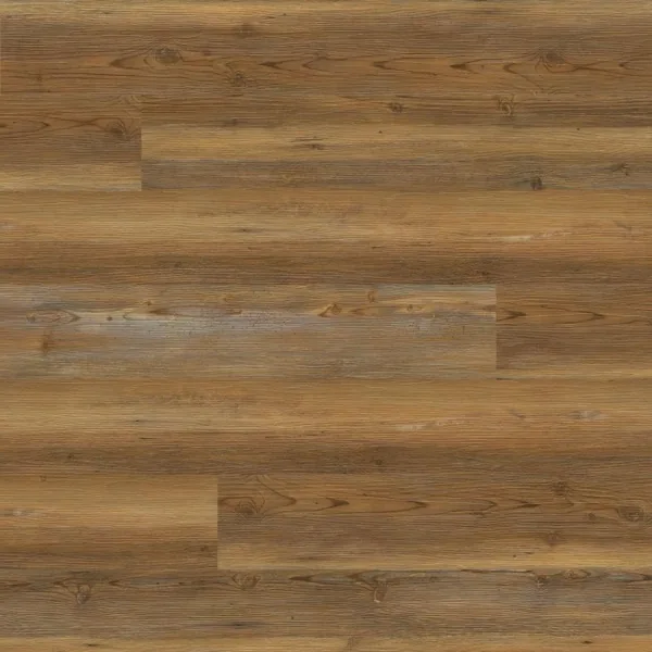 Barnstorm Cyrus 2.0 LVP — MSI Everlife
